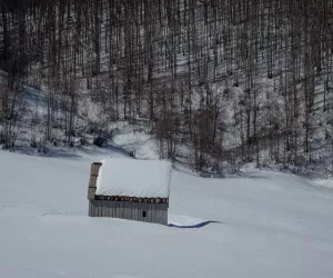Co to jest pompa ciepła i jak działa